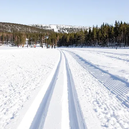 Lejlighed Aurinkorinne 2 A10 By In Lapland. *